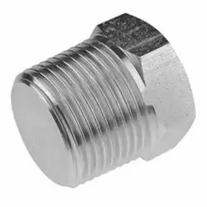 ASME B16.11 Plug