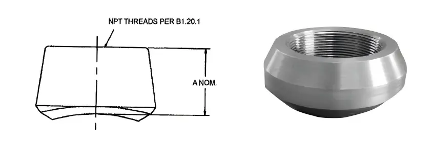 Forged Steel Threadolet Forged Steel Threadolet